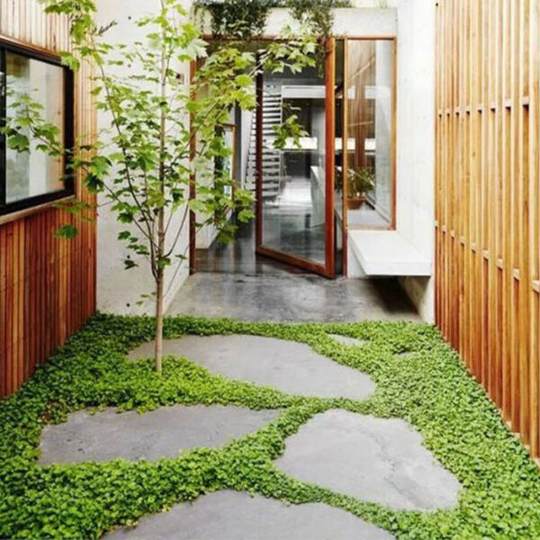 Harkaway Bluestone Stepping Stone - Image 5
