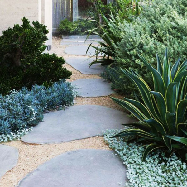 Harkaway Bluestone Stepping Stone - Image 6